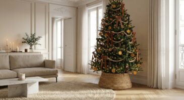 Cette guirlande brillante ruine votre sapin de noël (mais tout le monde continue de l'utiliser)