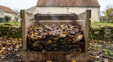 Compost : ce tapis de feuilles mouillées qui semble anodin déclenche en fait un blocage invisible dans votre tas