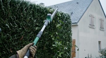 Ce taille-haies télescopique Bosch en promo chez Cdiscount soulage enfin l’entretien de vos haies sans effort cet hiver