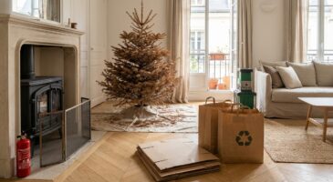 Cheminée ou poêle à bois : brûler son sapin de Noël, cette habitude de janvier peut vous coûter très cher