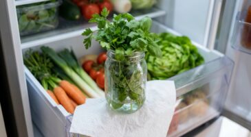 Je jetais mes herbes chaque semaine : cette erreur au frigo que vous faites aussi, et le geste qui les garde 3 semaines