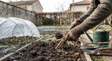 Potager : c'est maintenant que tout se joue, ces 5 étapes avant les premiers semis vont changer votre saison
